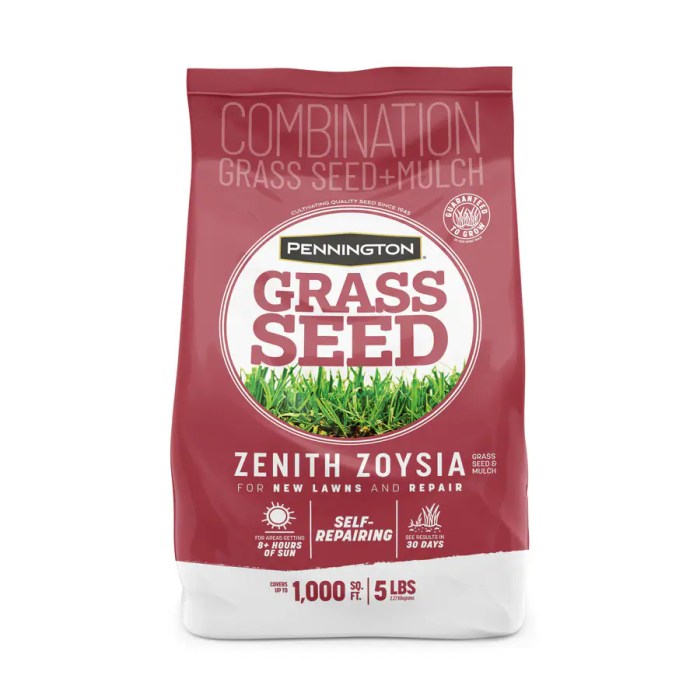 How to plant zoysia grass seed