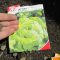 When to Plant Lettuce Seeds