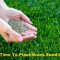 How Deep to Plant Grass Seed