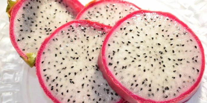 How to plant dragon fruit from seeds