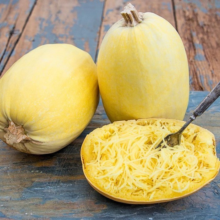 How to plant spaghetti squash seeds