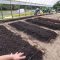 How to Plant Grass Seed Without Tilling