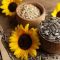 Where to Buy Sunflower Seeds to Plant