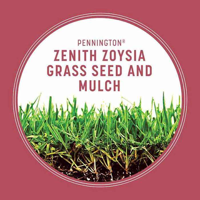 How to plant zoysia grass seed