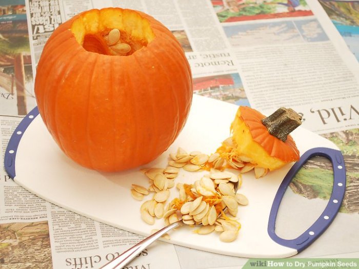 How to dry pumpkin seeds for planting