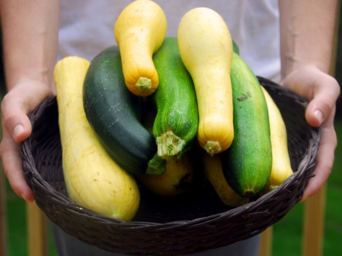 When to plant squash seeds