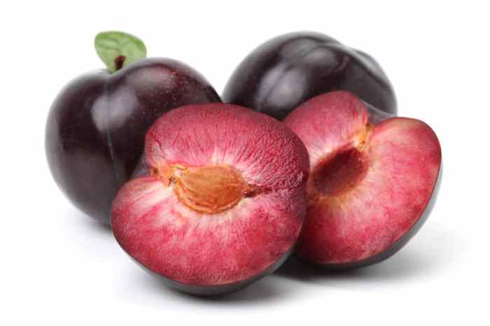 Can you plant a plum seed