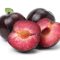 Can You Plant Plum Seeds?