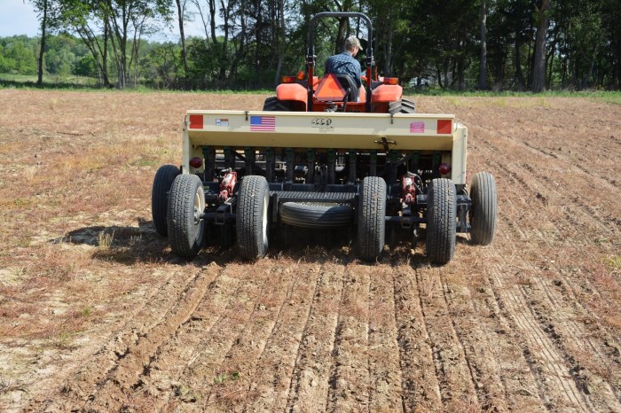 How to plant grass seed without tilling