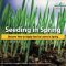 When to Plant Seed Grass A Comprehensive Guide