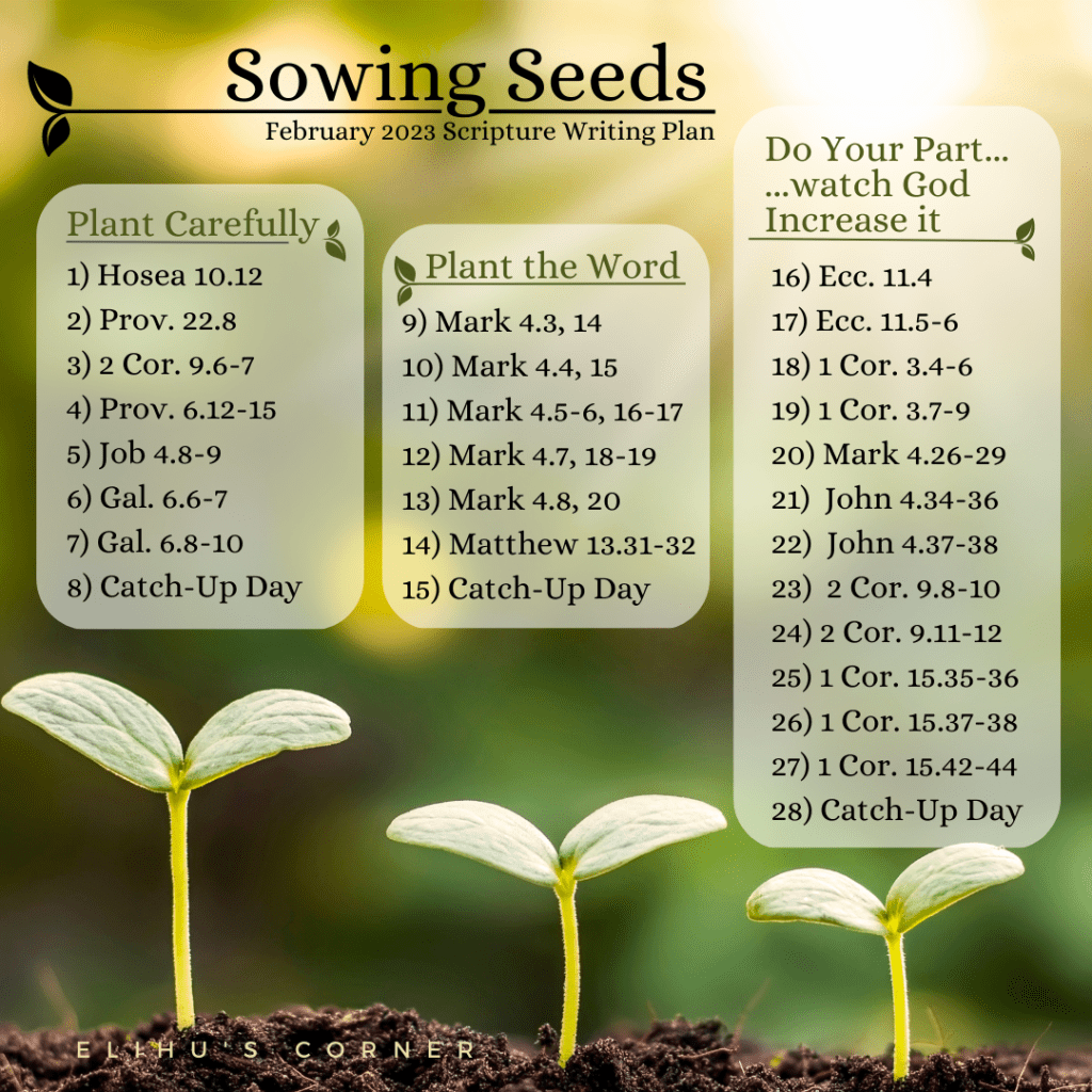 When to start plants from seeds