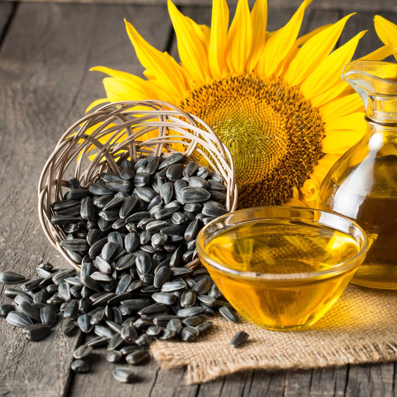 Where to buy sunflower seeds to plant