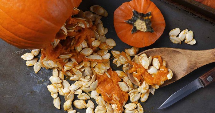 When do you plant a pumpkin seed