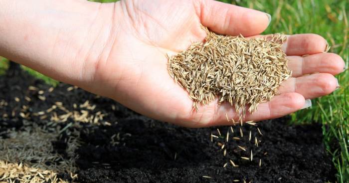 When to plant grass seed ohio